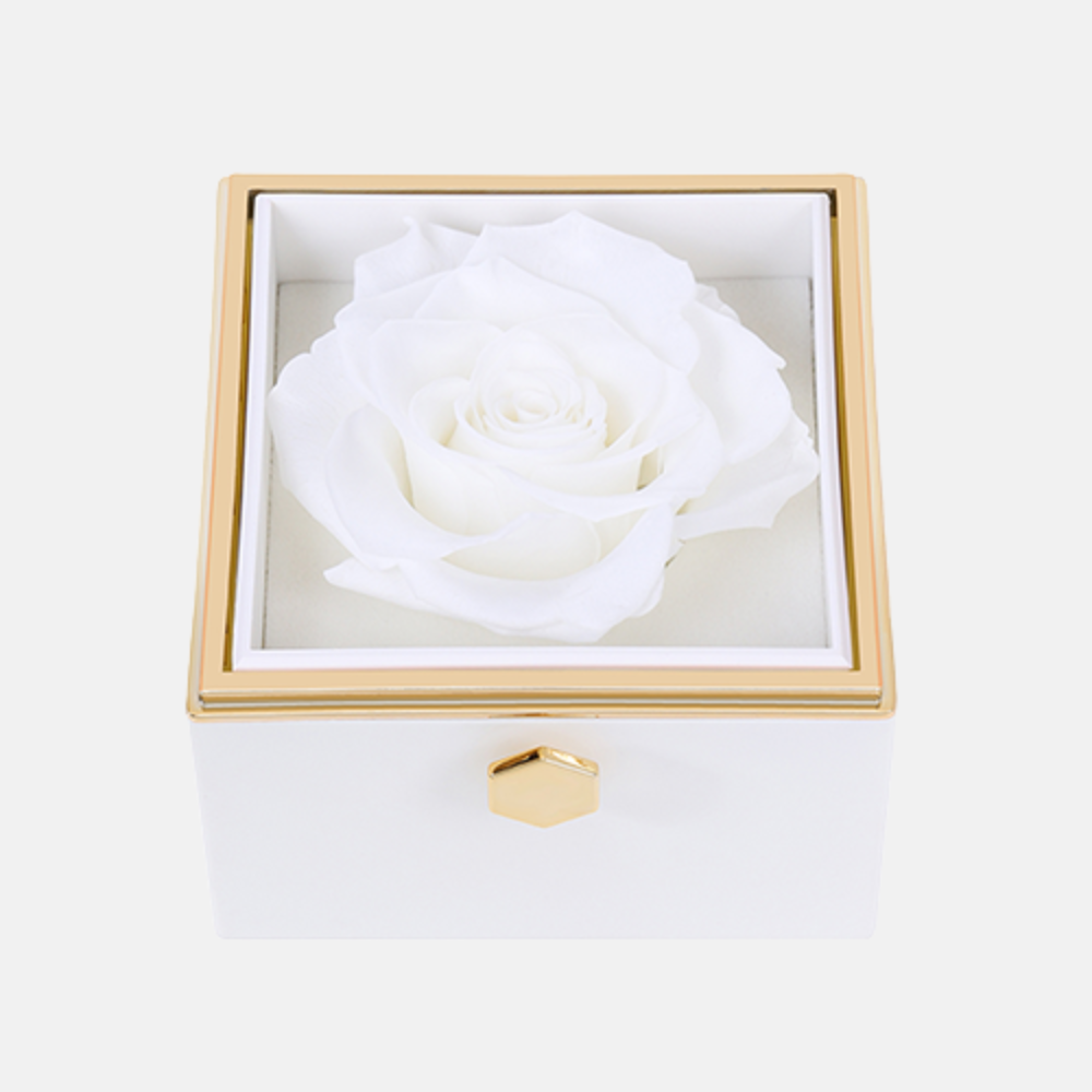 Coffret - Collier Personnalisé & Rose Éternelle